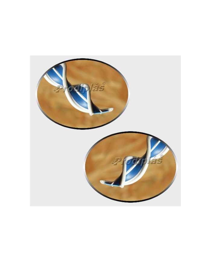 Matiz 0,90x2,00_Nº601