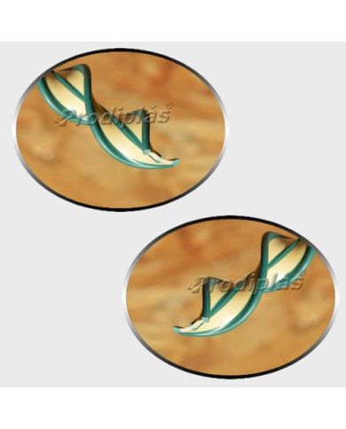 Matiz 1,00x2,00_Nº634