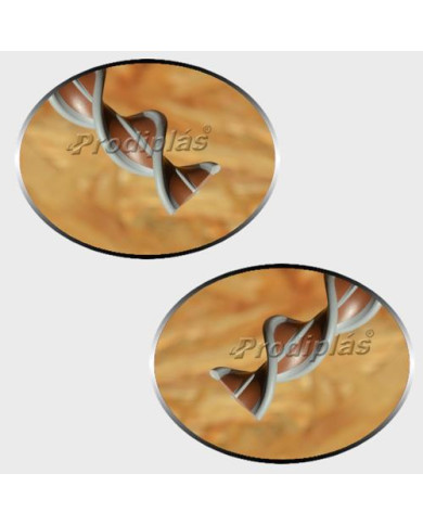 Matiz 1,10x2,00_Nº656