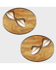 Matiz 1,20x2,00_Nº624