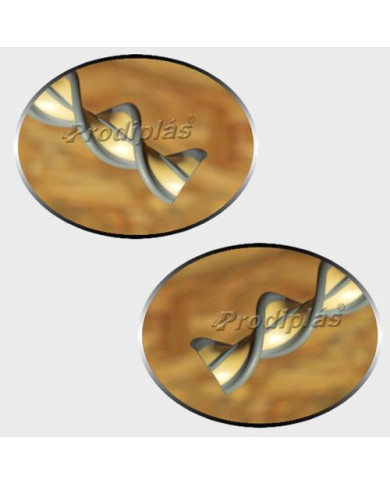 Matiz 1,20x2,00_Nº630