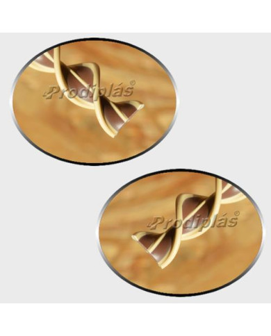 Matiz 1,20x2,00_Nº654