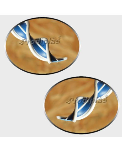 Matiz Medida Especial_Nº601