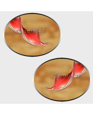 Matiz Medida Especial_Nº617