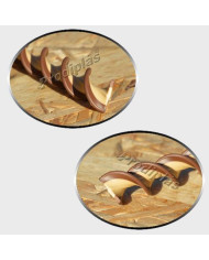 Caracol  0,90x2,00_Nº32