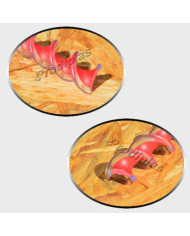 Caracol  0,90x2,00_Nº17