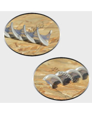 Caracol  1,00x2,00_Nº6