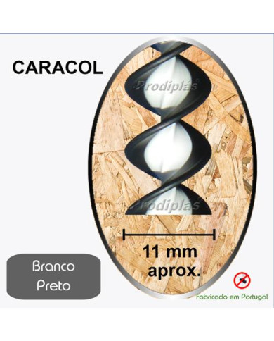 Caracol  1,00x2,00_Nº22