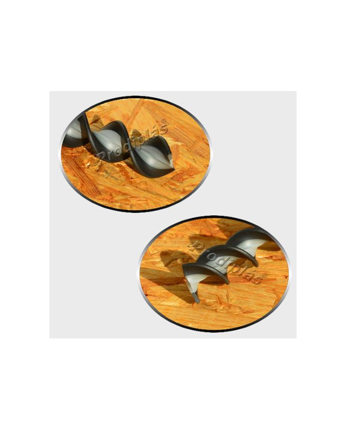 Caracol  1,00x2,00_Nº50