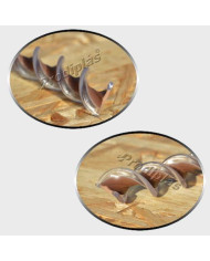 Caracol  1,00x2,00_Nº52