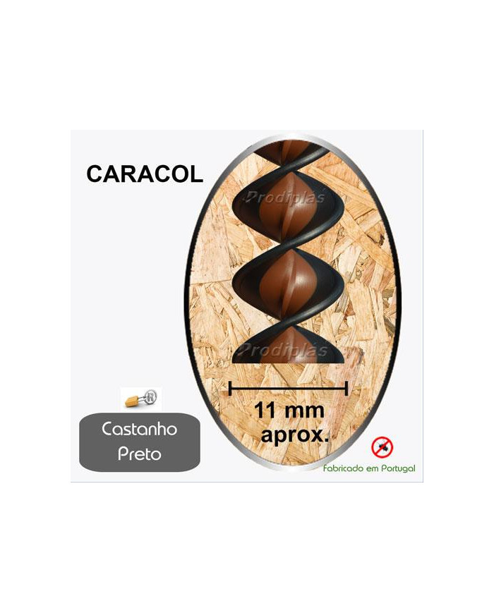 Caracol  1,00x2,00_Nº62