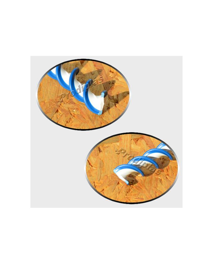 Caracol  1,00x2,00_Nº96