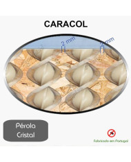 Caracol  1,00x2,00_Nº05