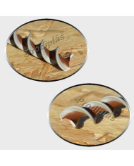 Caracol  1,10x2,00_Nº56