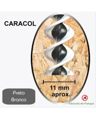 Caracol  1,20x2,00_Nº78