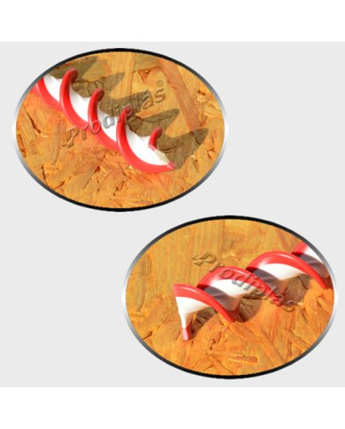 Caracol  1,20x2,00_Nº98