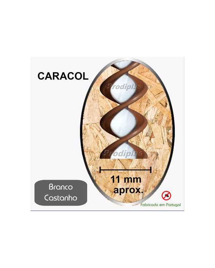 Caracol  1,20x2,00_Nº07