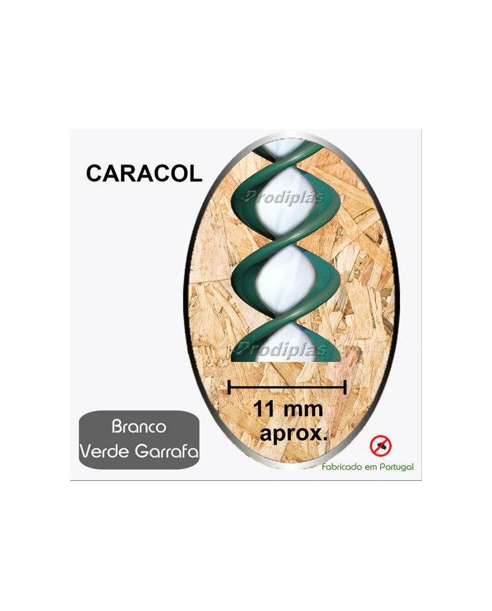 Caracol  1,20x2,00_Nº09