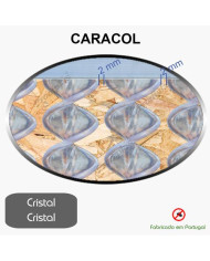 Caracol Medida Especial_Nº2