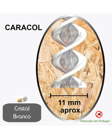 Caracol Medida Especial_Nº4