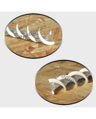 Caracol Medida Especial_Nº4