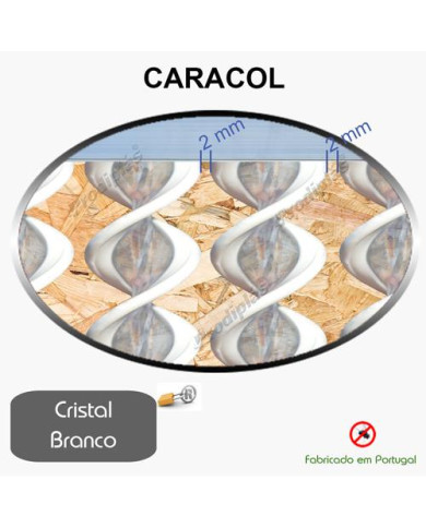 Caracol Medida Especial_Nº4