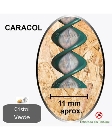 Caracol Medida Especial_Nº10
