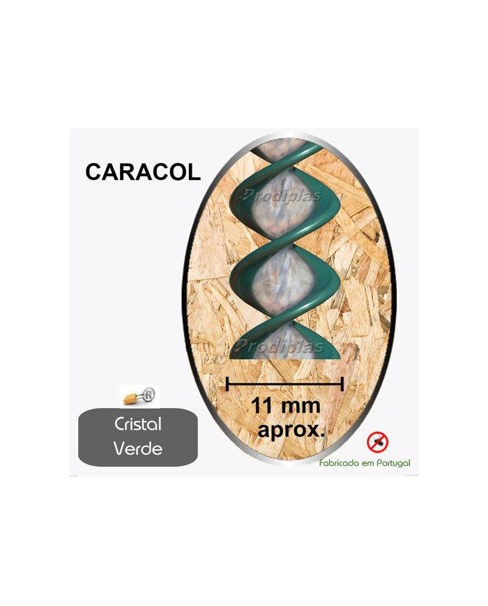 Caracol Medida Especial_Nº10