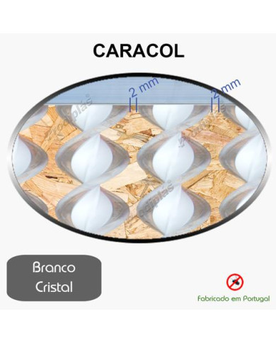Caracol Medida Especial_Nº14