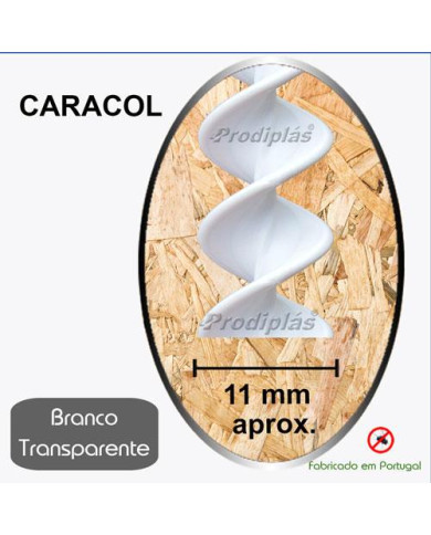 Caracol Medida Especial_Nº16