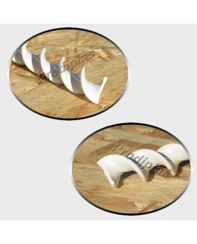 Caracol Medida Especial_Nº16