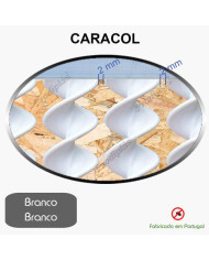 Caracol Medida Especial_Nº16