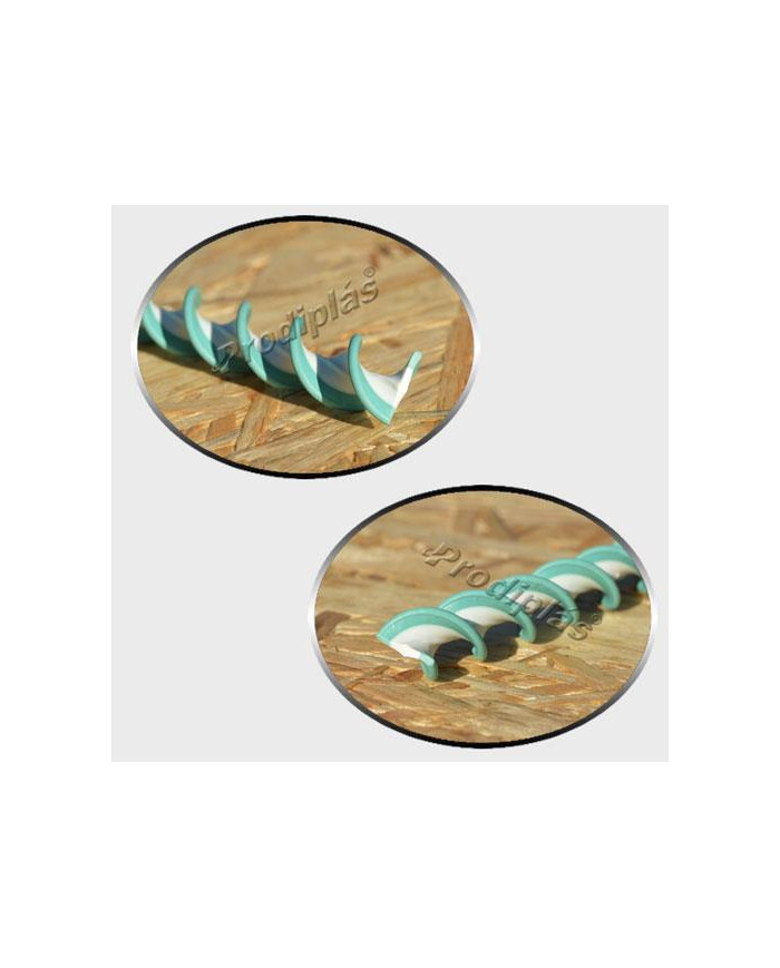 Caracol Medida Especial_Nº20