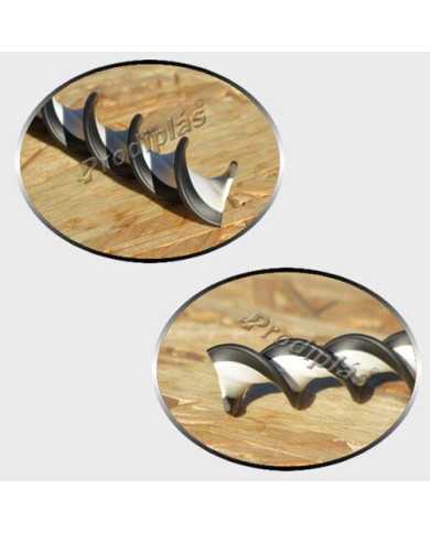 Caracol Medida Especial_Nº22