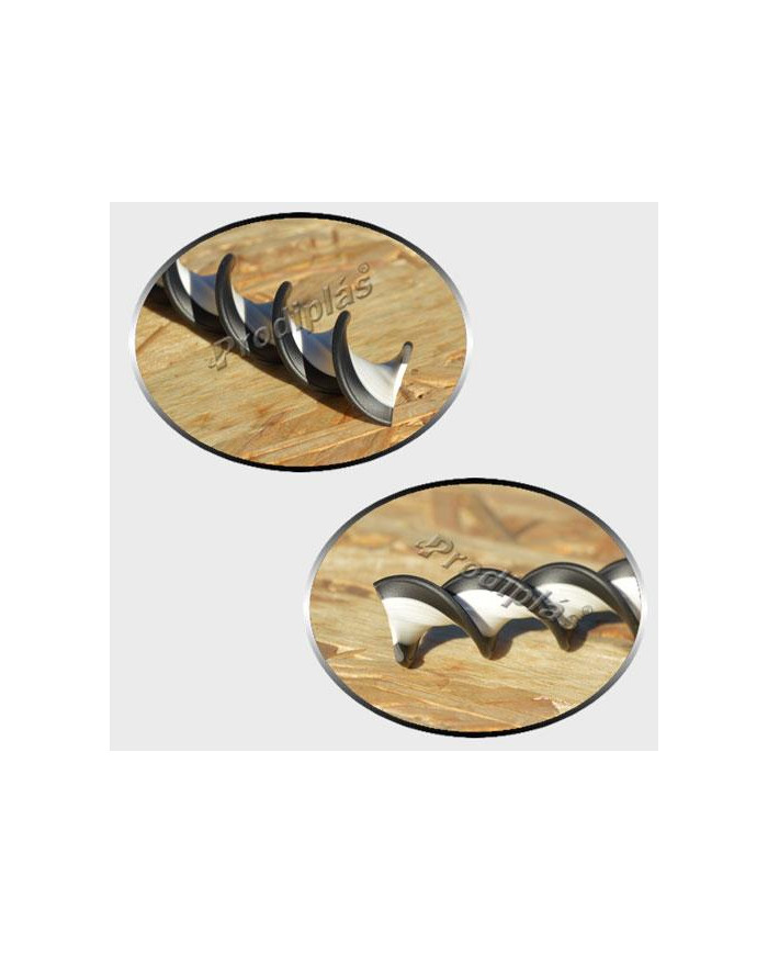 Caracol Medida Especial_Nº22