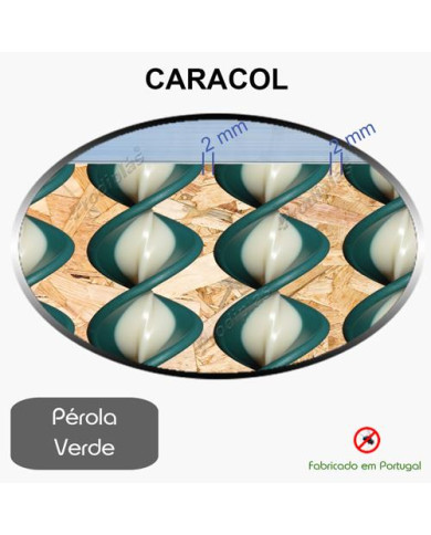 Caracol Medida Especial_Nº26