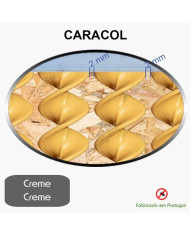 Caracol Medida Especial_Nº28