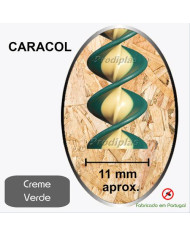 Caracol Medida Especial_Nº34