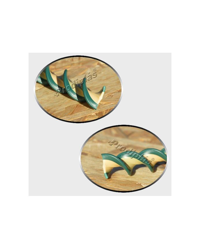 Caracol Medida Especial_Nº34