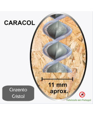 Caracol Medida Especial_Nº38