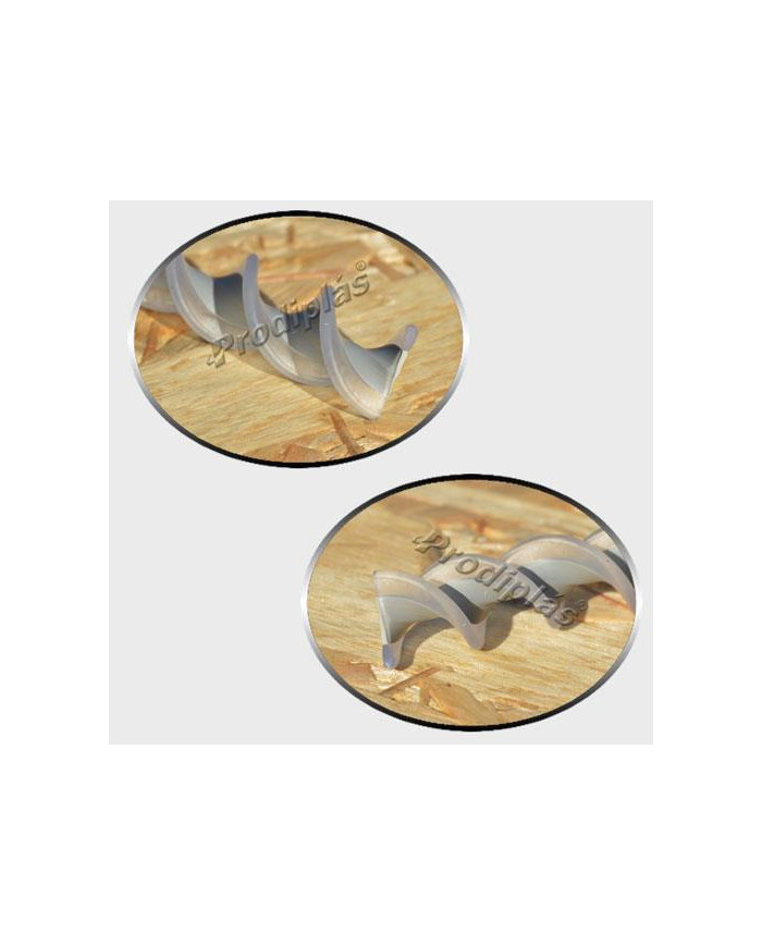 Caracol Medida Especial_Nº38