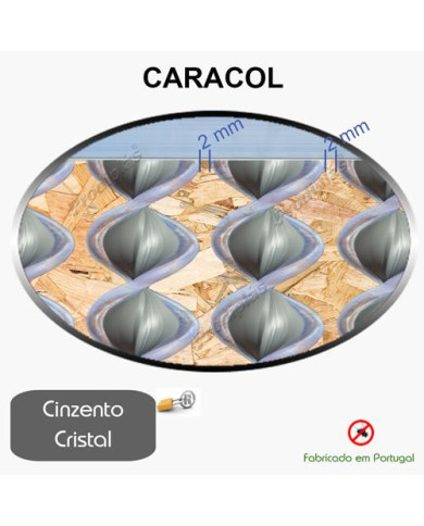 Caracol Medida Especial_Nº38