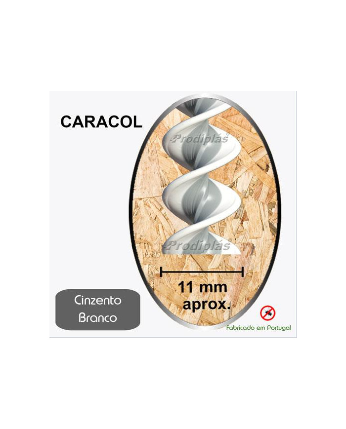 Caracol Medida Especial_Nº40