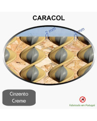 Caracol Medida Especial_Nº42
