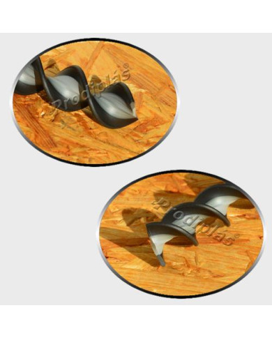 Caracol Medida Especial_Nº50