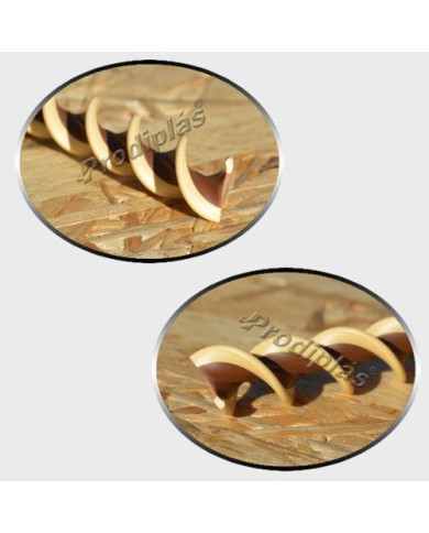 Caracol Medida Especial_Nº54