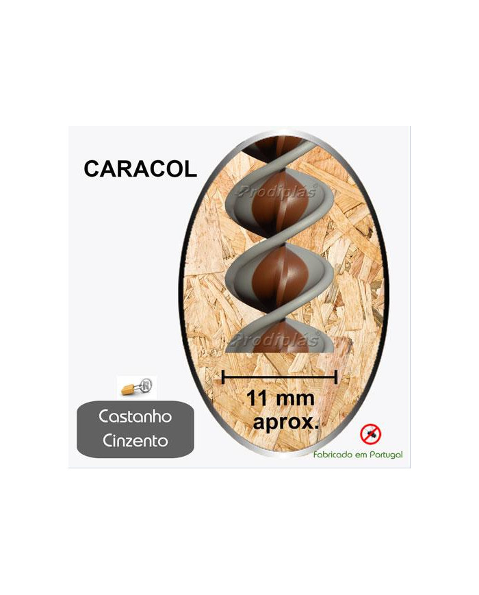 Caracol Medida Especial_Nº56