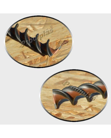 Caracol Medida Especial_Nº62