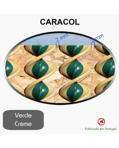 Caracol Medida Especial_Nº66