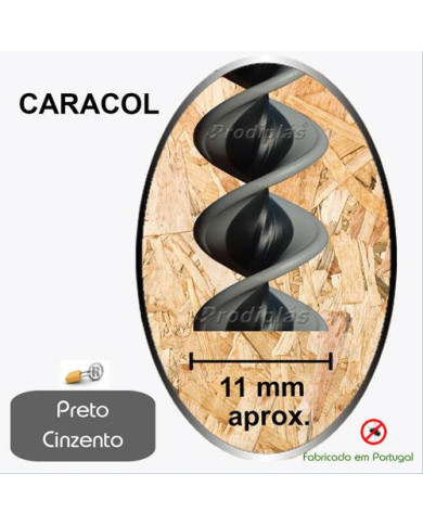 Caracol Medida Especial_Nº82